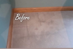 Before Carpet Cleaning