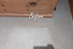 Before Carpet Cleaning - mascara stains