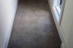 Carpet clenaing in Ludlow