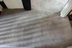 Carpet clenaing in Ludlow