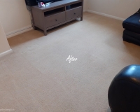 Carpet Cleaning in Worcester