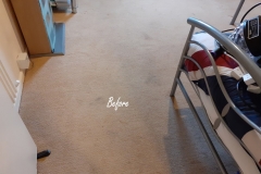 Carpet Cleaning in Worcester