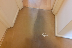 Carpet Cleaning in Worcester