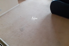 Carpet Cleaning in Worcester