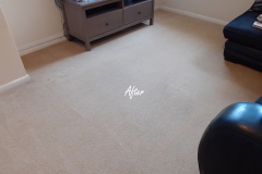 Carpet Cleaning in Worcester