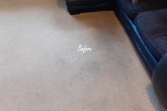 Carpet Cleaning in Worcester