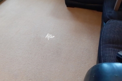 Carpet Cleaning in Worcester