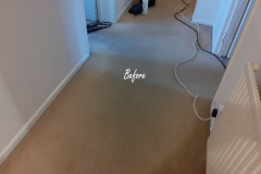 Carpet Cleaning in Worcester