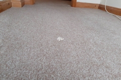 End of tenancy carpet cleaning