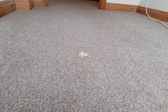 End of tenancy carpet cleaning