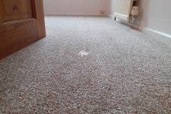 End of tenancy carpet cleaning