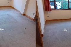 End of tenancy carpet cleaning