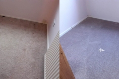 End of tenancy carpet cleaning