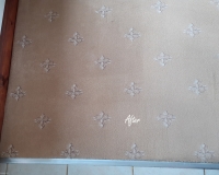 First carpet cleaning after 15 years