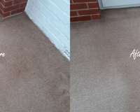 Last job of the week - end of tenancy carpet cleaning