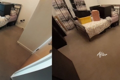 Before and After stunning carpet cleaning result