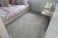 shropshire homes carpet cleaning