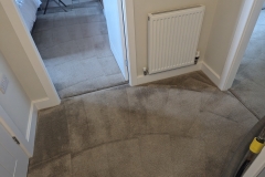 shropshire homes carpet cleaning