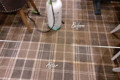 During carpet cleaning at the restaurant