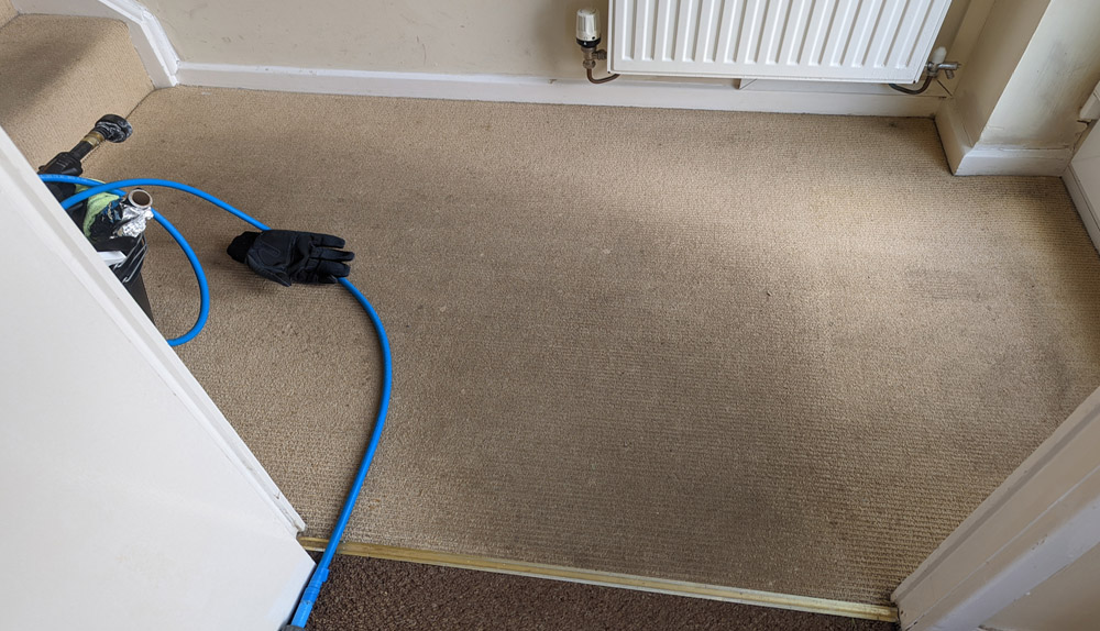 End of tenancy carpet cleaning