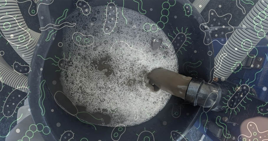 How Often Should You Clean Your Carpets in a Rental Property?