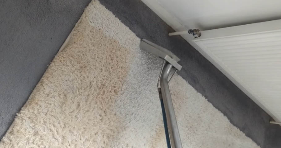 Professional Rug Cleaning in Birkenhead