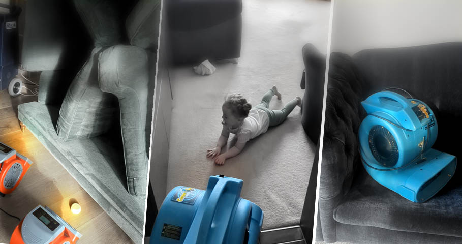 Fast drying after carpet cleaning
