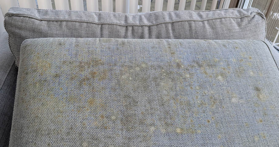 Is Mold on Your Couch Dangerous? What You Need to Know
