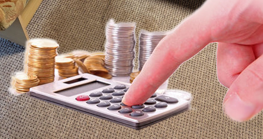 Carpet cleaner Services and Costs