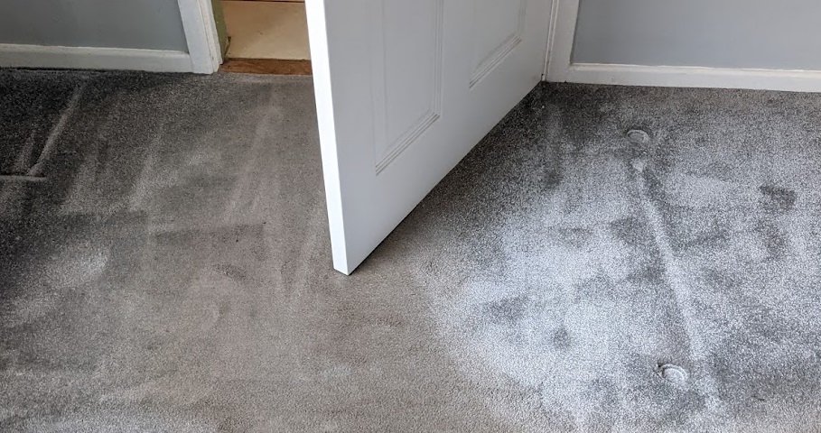 How to Keep Your Carpets and Sofas Fresh & Stain-Free?