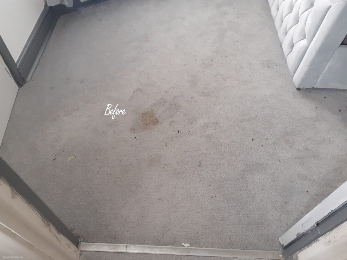 Astonishing Carpet Cleaning Results in Tenbury Wells