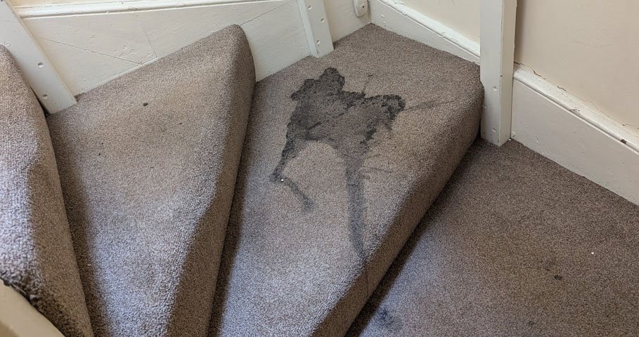Professional stain removal services for Carpets & Upholstery
