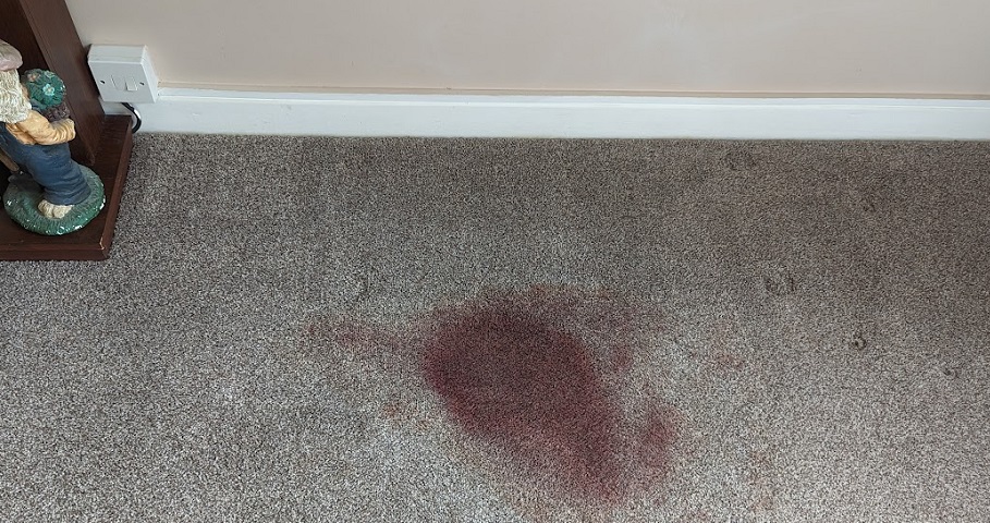 How to Prevent Carpet Stains Before They Happen?