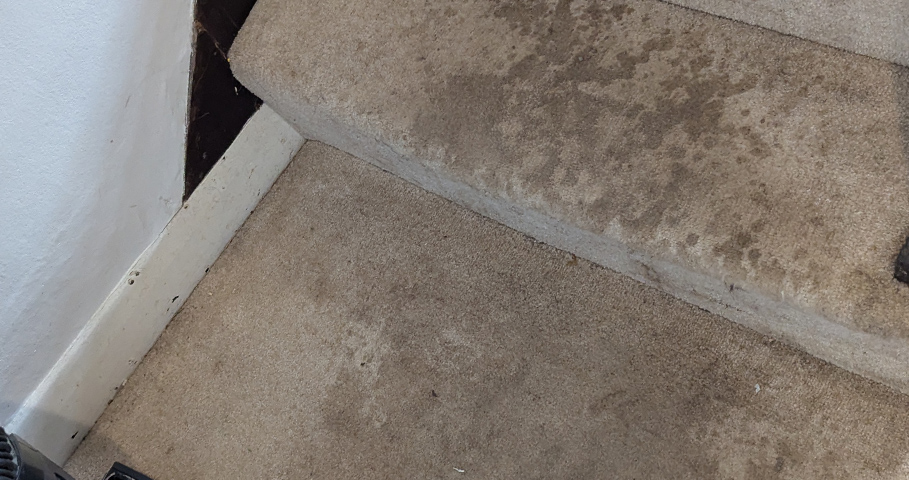 Can a £50 TikTok Spot Cleaner Really Do the Job?
