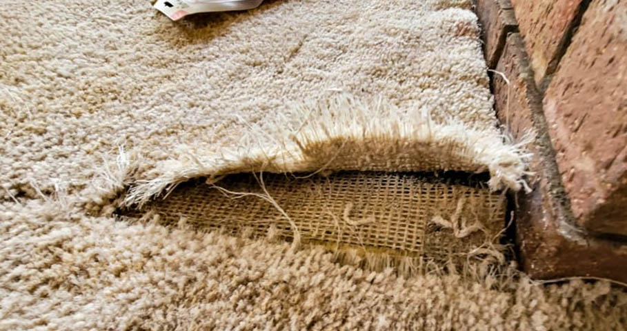 8 Signs Your Carpet Might Need Replacing