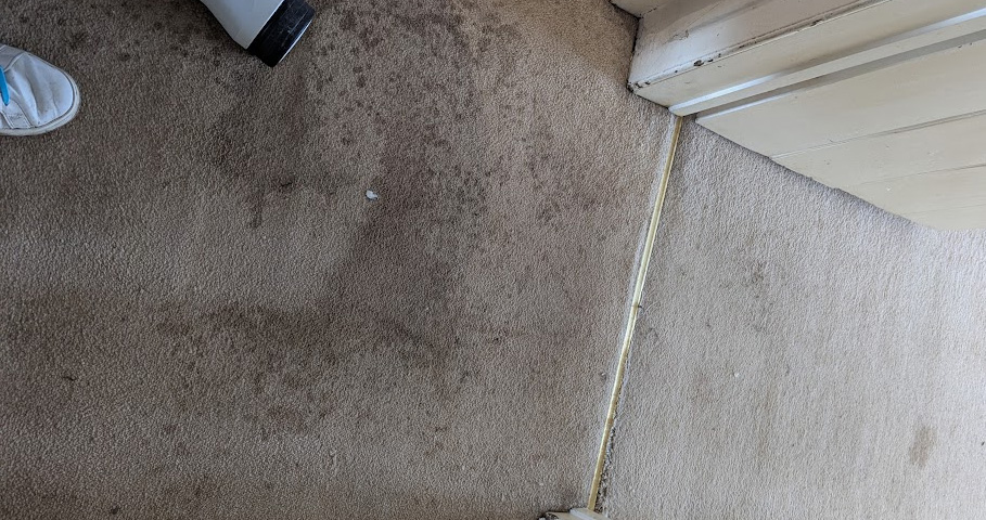 Spring Carpet Cleaning on Wirral