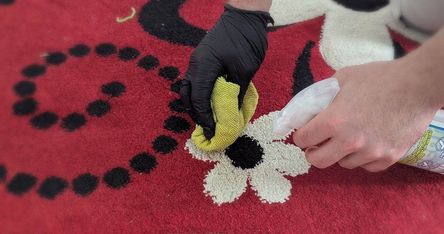 Top Tips to Hide Carpet Stains Until Professional Help Arrives