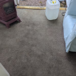 Carpet Cleaning
