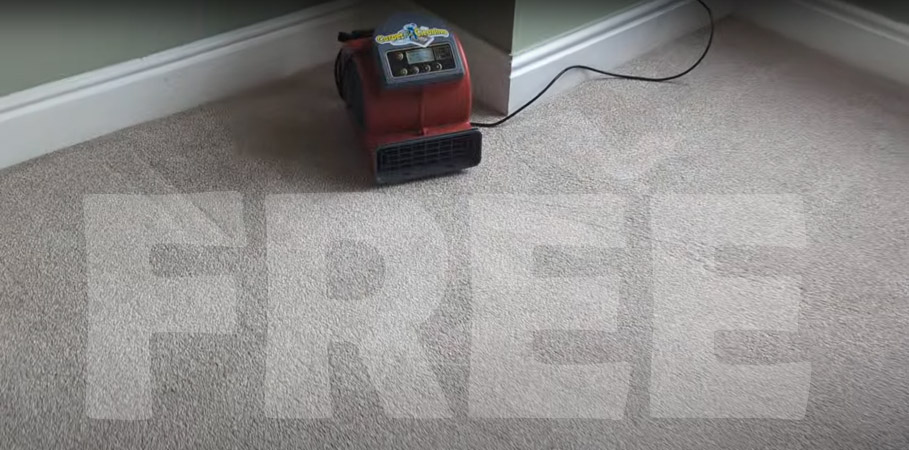 Quick Drying Carpet Cleaning in Wallasey