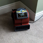 Quick Drying Carpet Cleaning