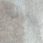 Carpet Cleaning Before & After