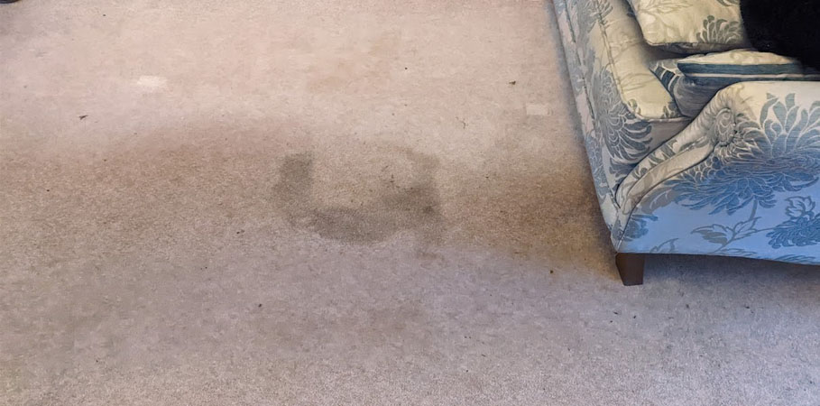 Coffee Stain Cleaning in Birkenhead – Fast & Effective