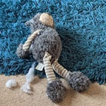 Adopting a Dog or a Cat? carpet cleaning