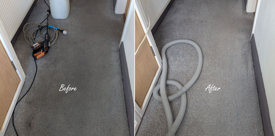 Carpet Cleaning for HMOs – Stay Ahead of Pet Law Changes