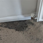 carpet cleaning
