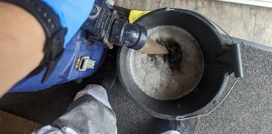 Back to School Carpet Cleaning