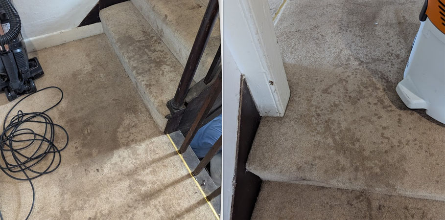 Carpet Cleaning in Birkenhead