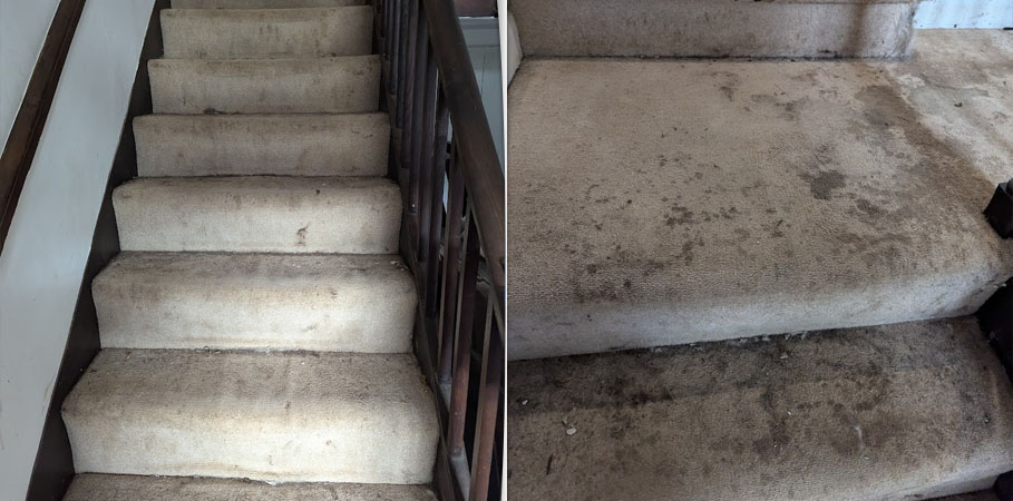 Carpet Cleaning in Birkenhead