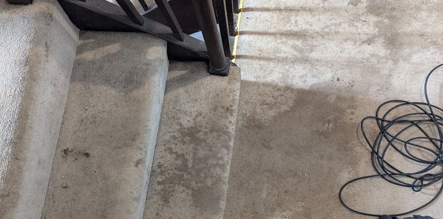 Carpet Cleaning in Birkenhead