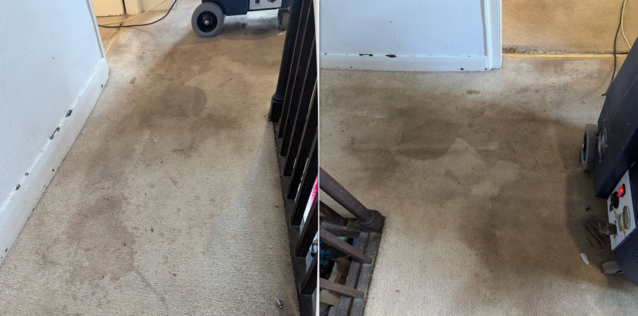 Carpet Cleaning in Birkenhead